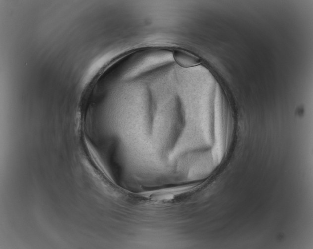 X0000116641461200912291545