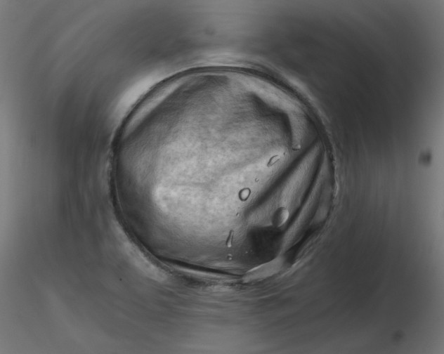 X0000116641463200912291545