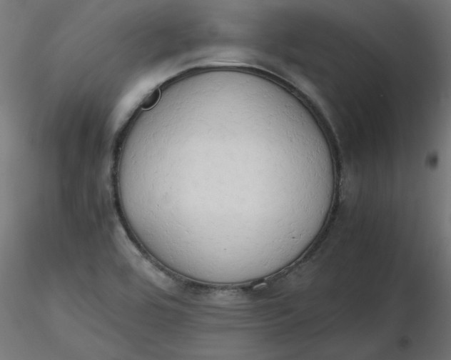 X0000116641464200912291545