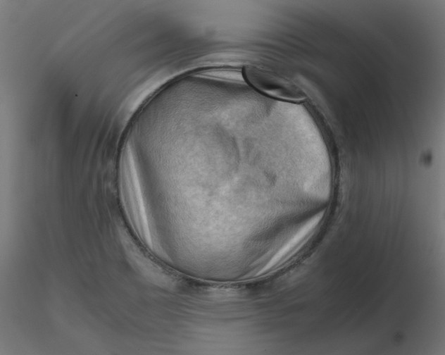 X0000116641465200912291545