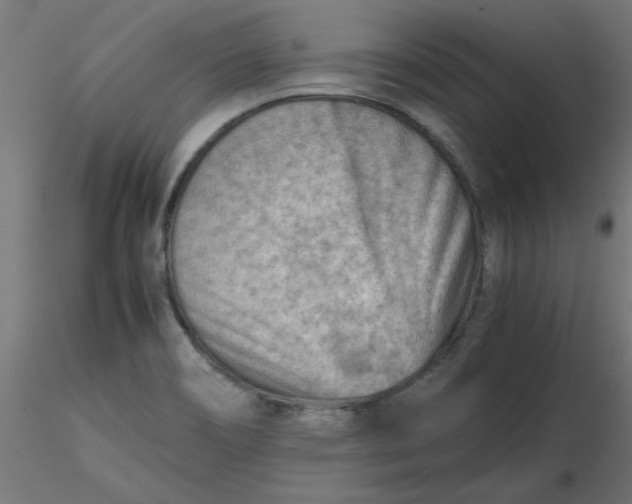 X0000116641466200912291545