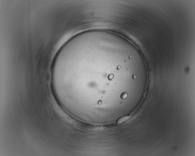 X0000116641467200912291545