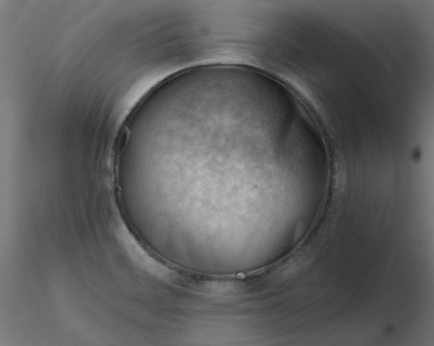 X0000116641468200912291545