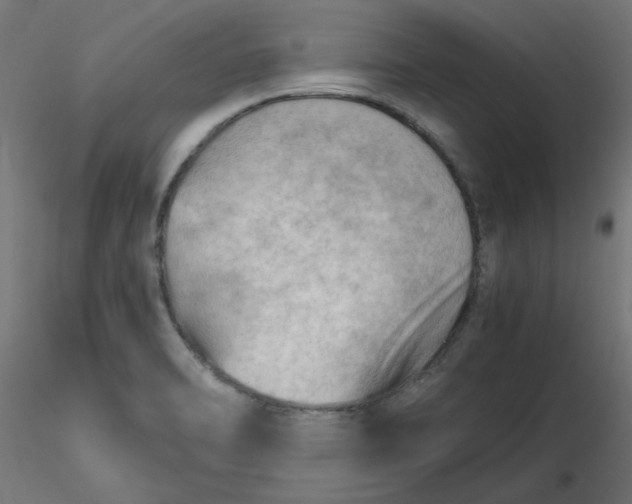 X0000116641470200912291545