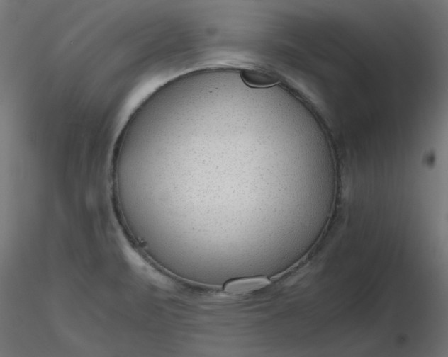 X0000116641471200912291545