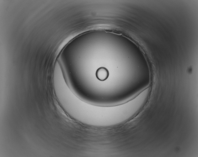 X0000116641473200912291545