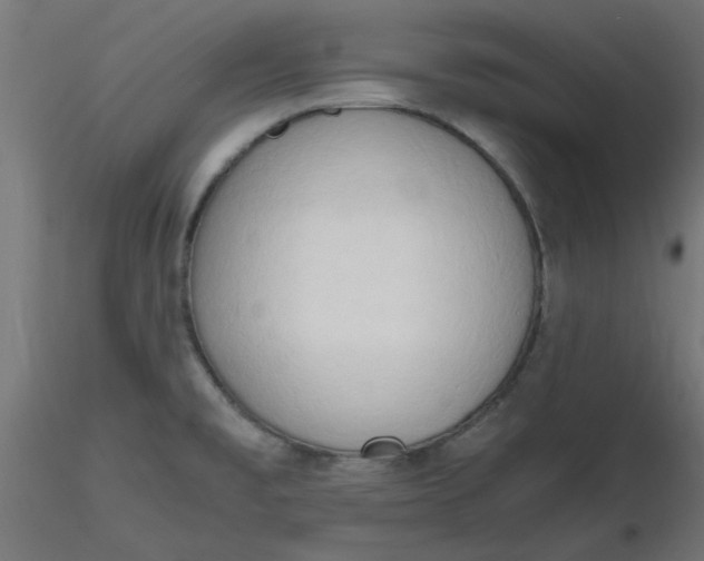 X0000116641477200912291545