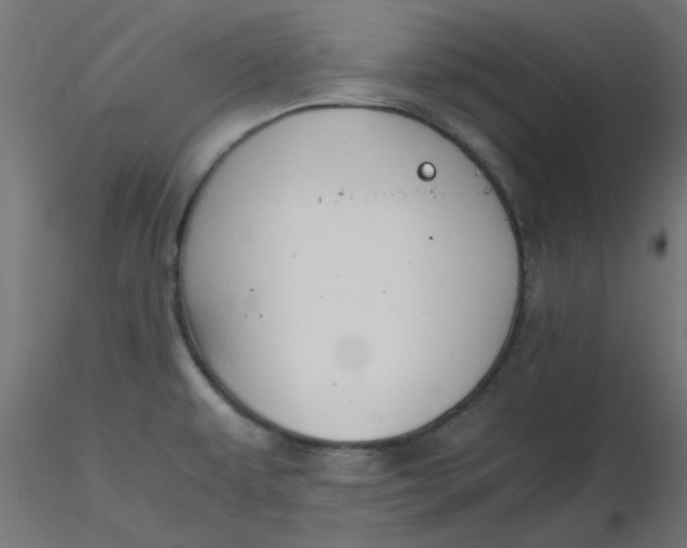 X0000116641479200912291545