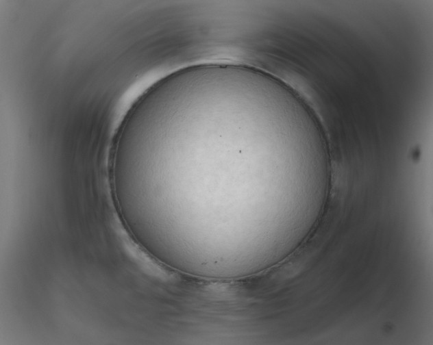 X0000116641480200912291545