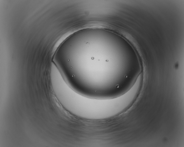 X0000116641481200912291545