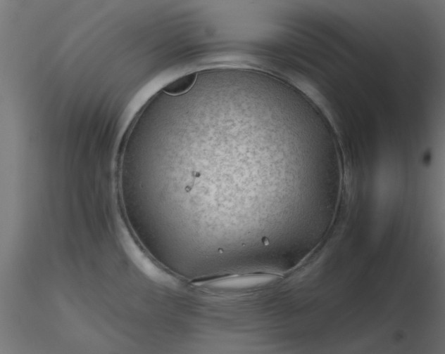 X0000116641482200912291545