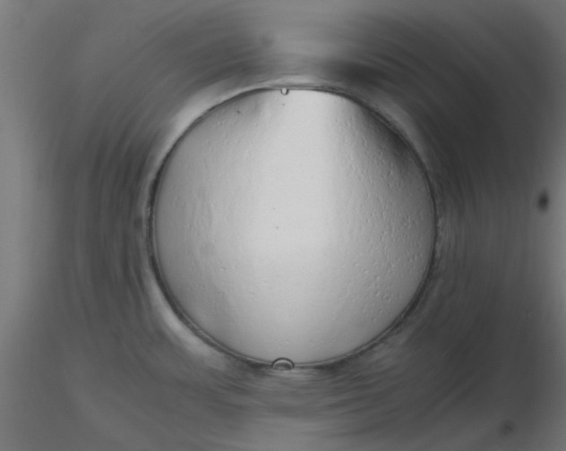 X0000116641483200912291545