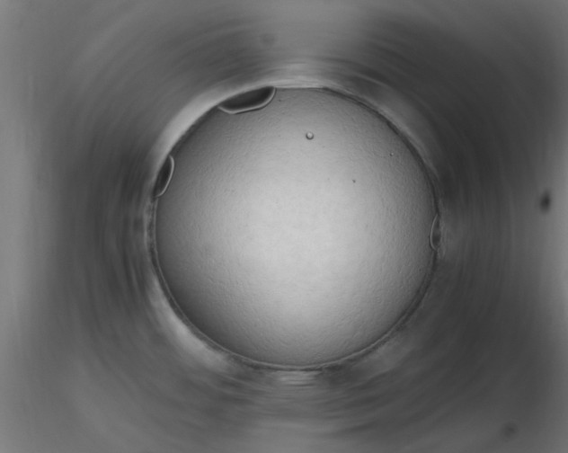 X0000116641484200912291545