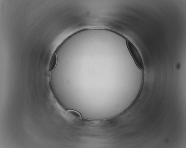 X0000116641485200912291545