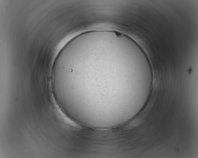 X0000116641486200912291545