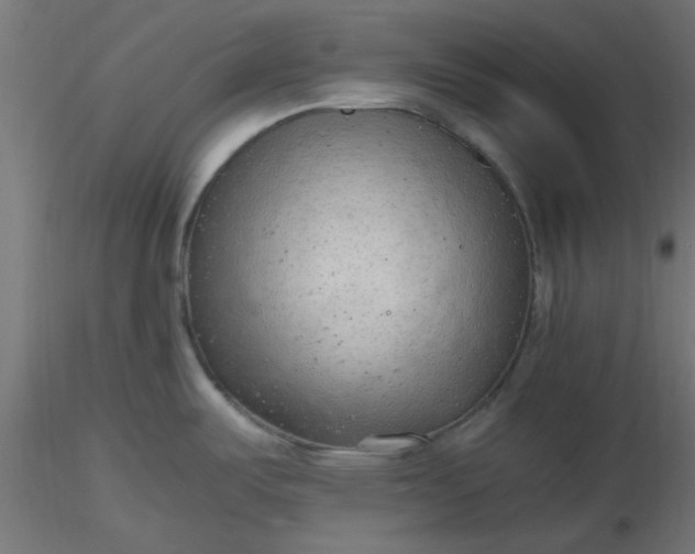 X0000116641487200912291545