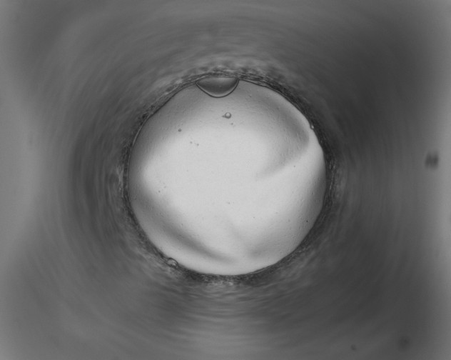 X0000116641489200912291544