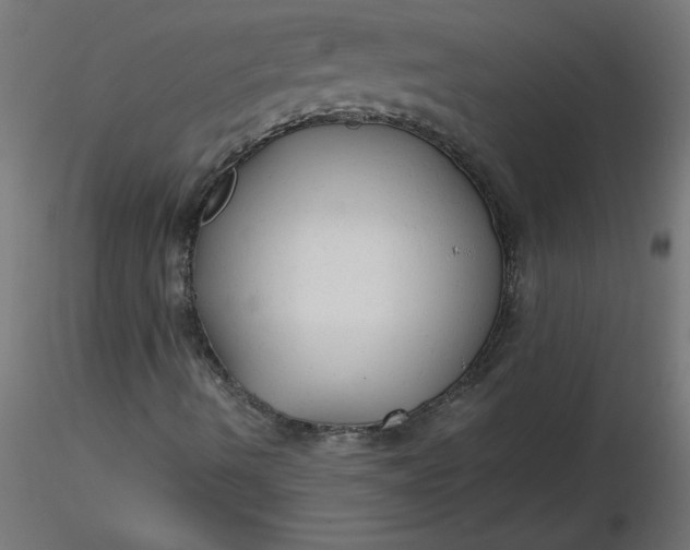 X0000116641490200912291544