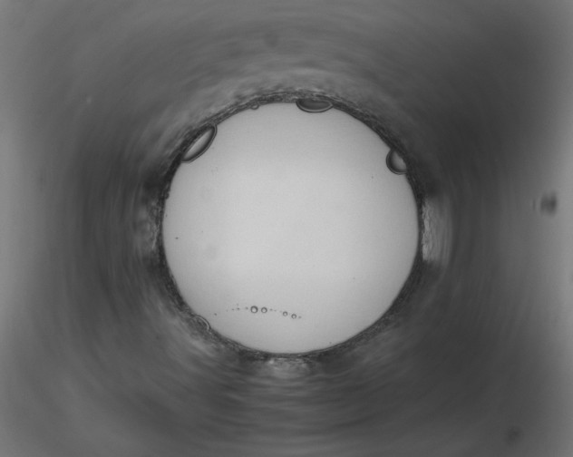 X0000116641491200912291544