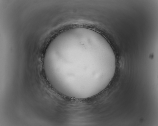 X0000116641493200912291544