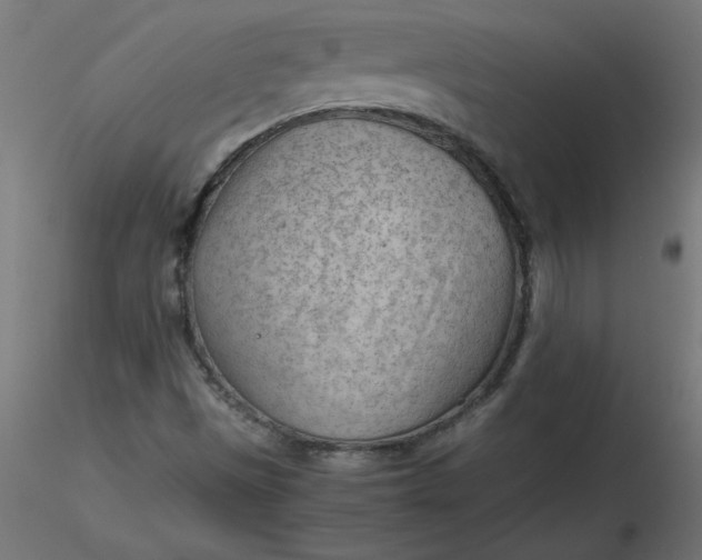 X0000116641497200912291544