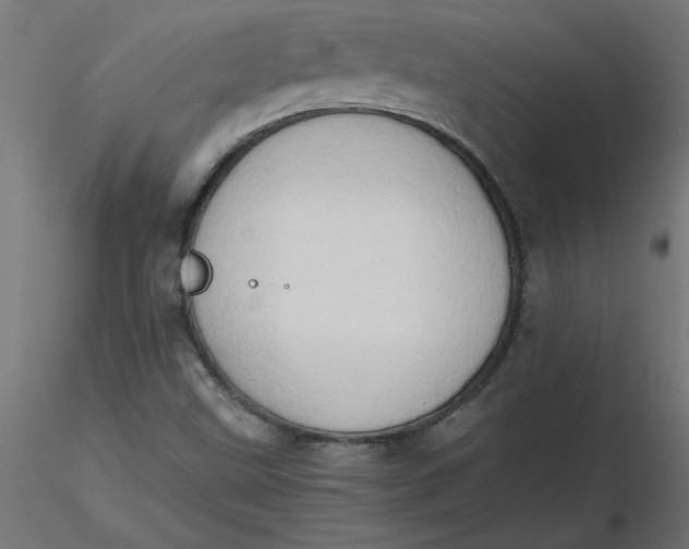 X0000116641499200912291544