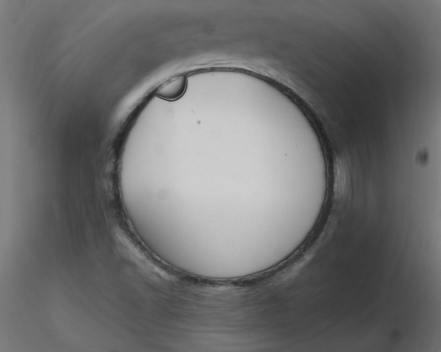 X0000116641502200912291544