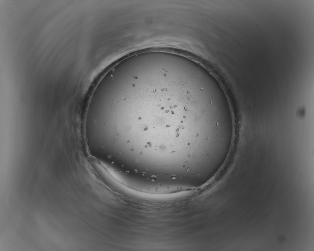 X0000116641505200912291544