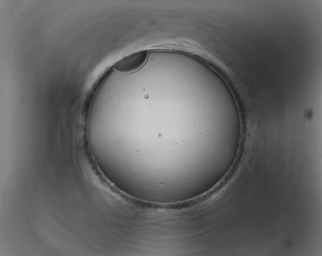 X0000116641506200912291544