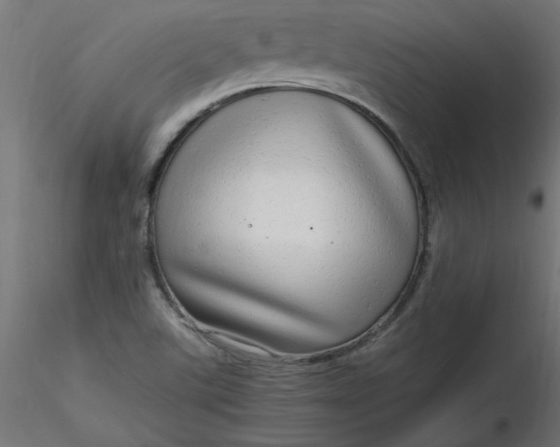 X0000116641507200912291544