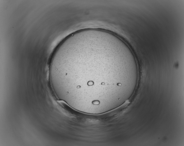 X0000116641509200912291544