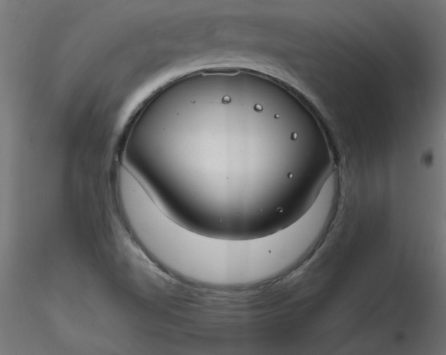 X0000116641510200912291544