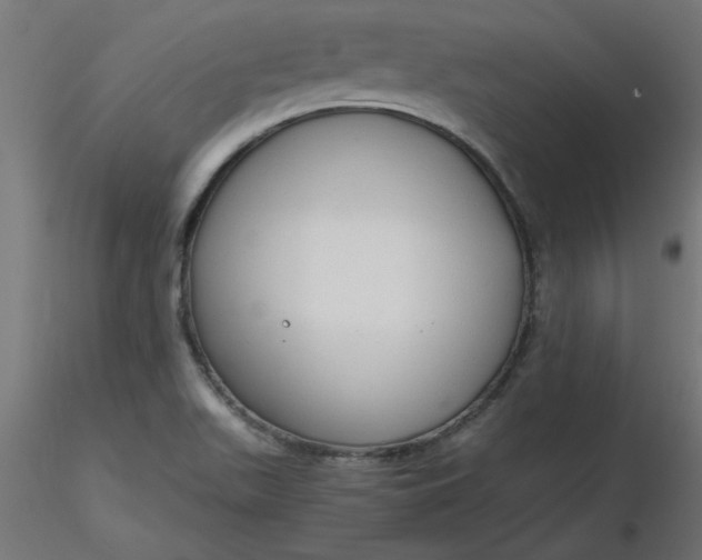 X0000116641511200912291544