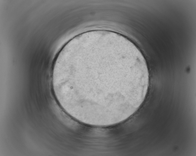 X0000116641514200912291544