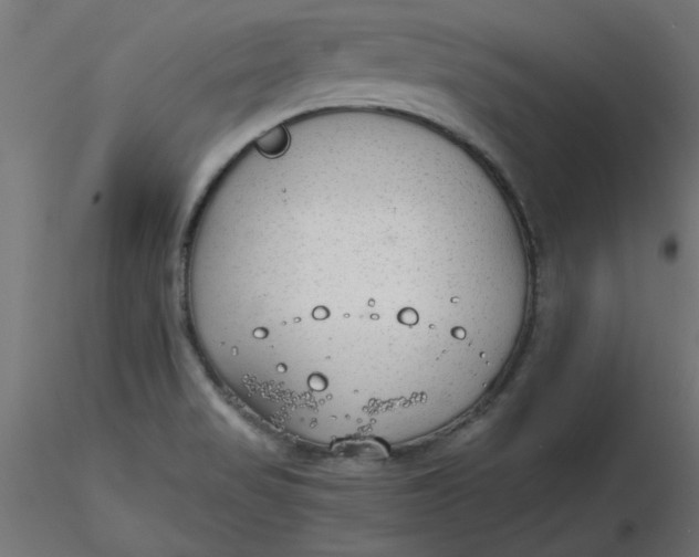 X0000116641517200912291544