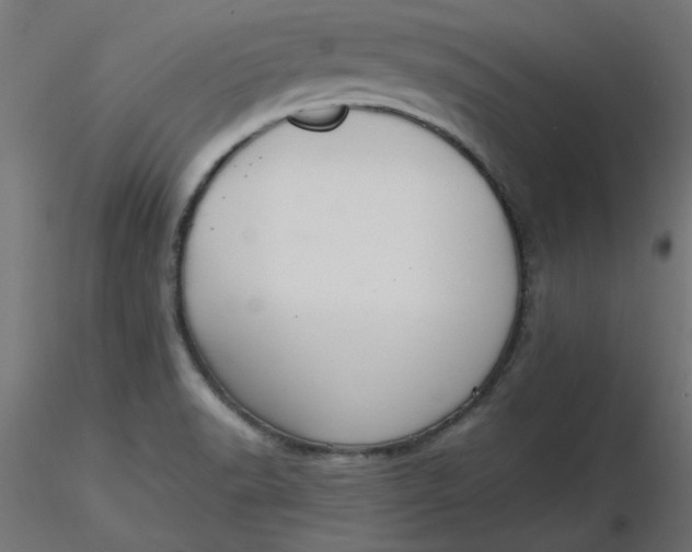 X0000116641518200912291544