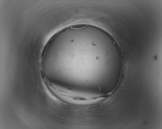 X0000116641519200912291544