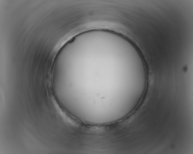 X0000116641521200912291544