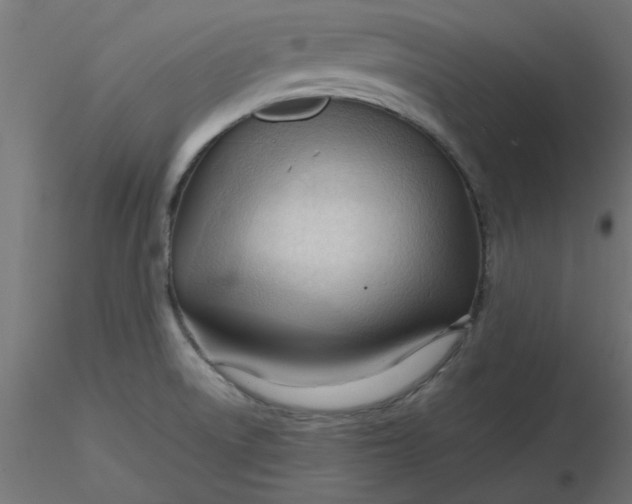 X0000116641522200912291544