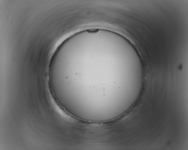 X0000116641523200912291544