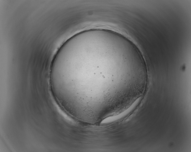 X0000116641525200912291544