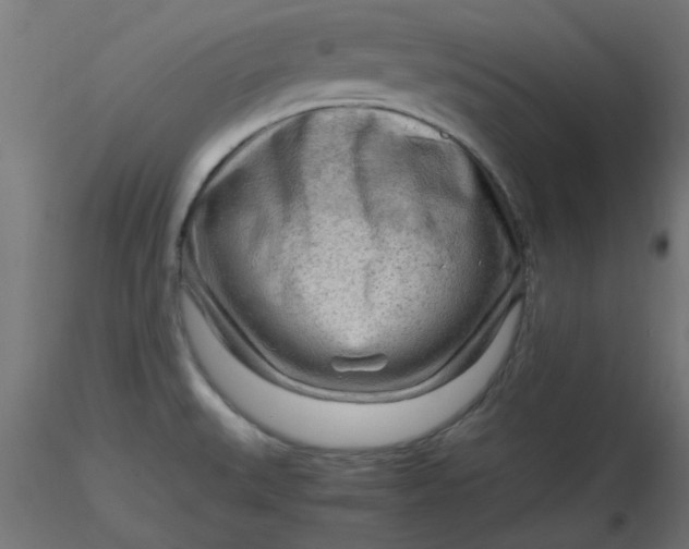 X0000116641527200912291545