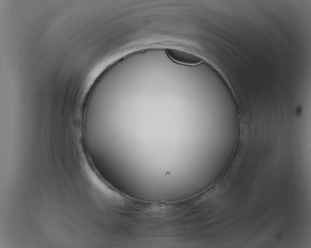 X0000116641531200912291545