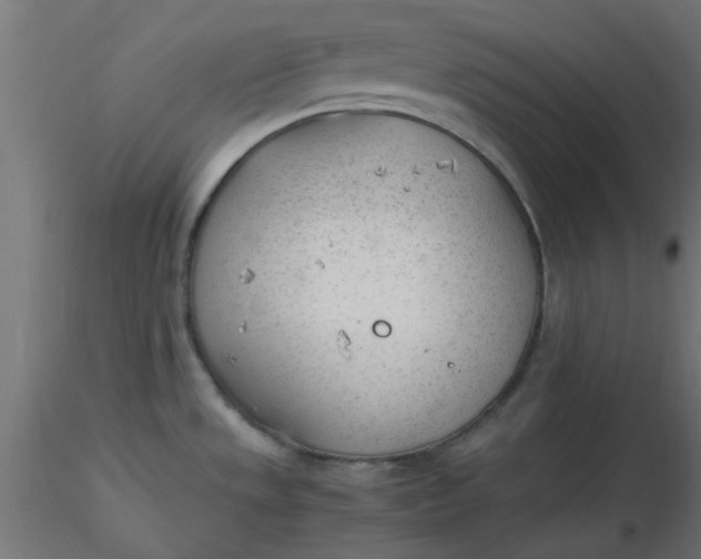 X0000116641533200912291545