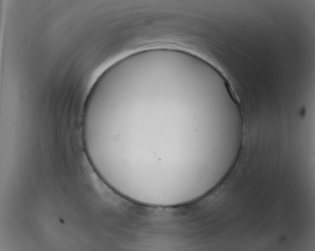 X0000116641534200912291545