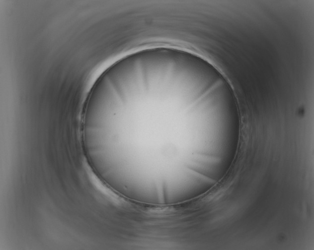 X0000116641535200912291545