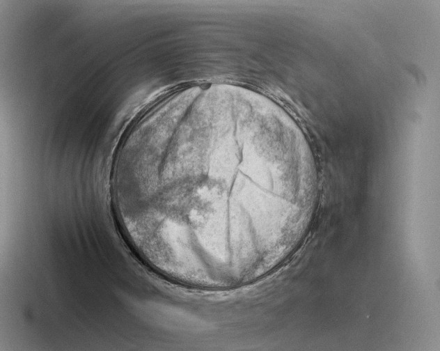 X0000116640002201001041040