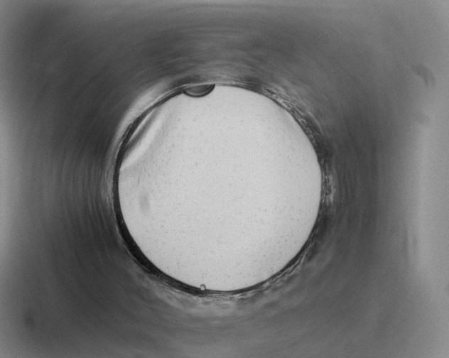 X0000116640004201001041040