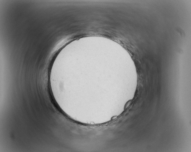 X0000116640005201001041040