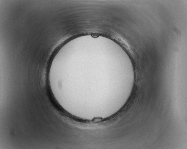 X0000116640012201001041040